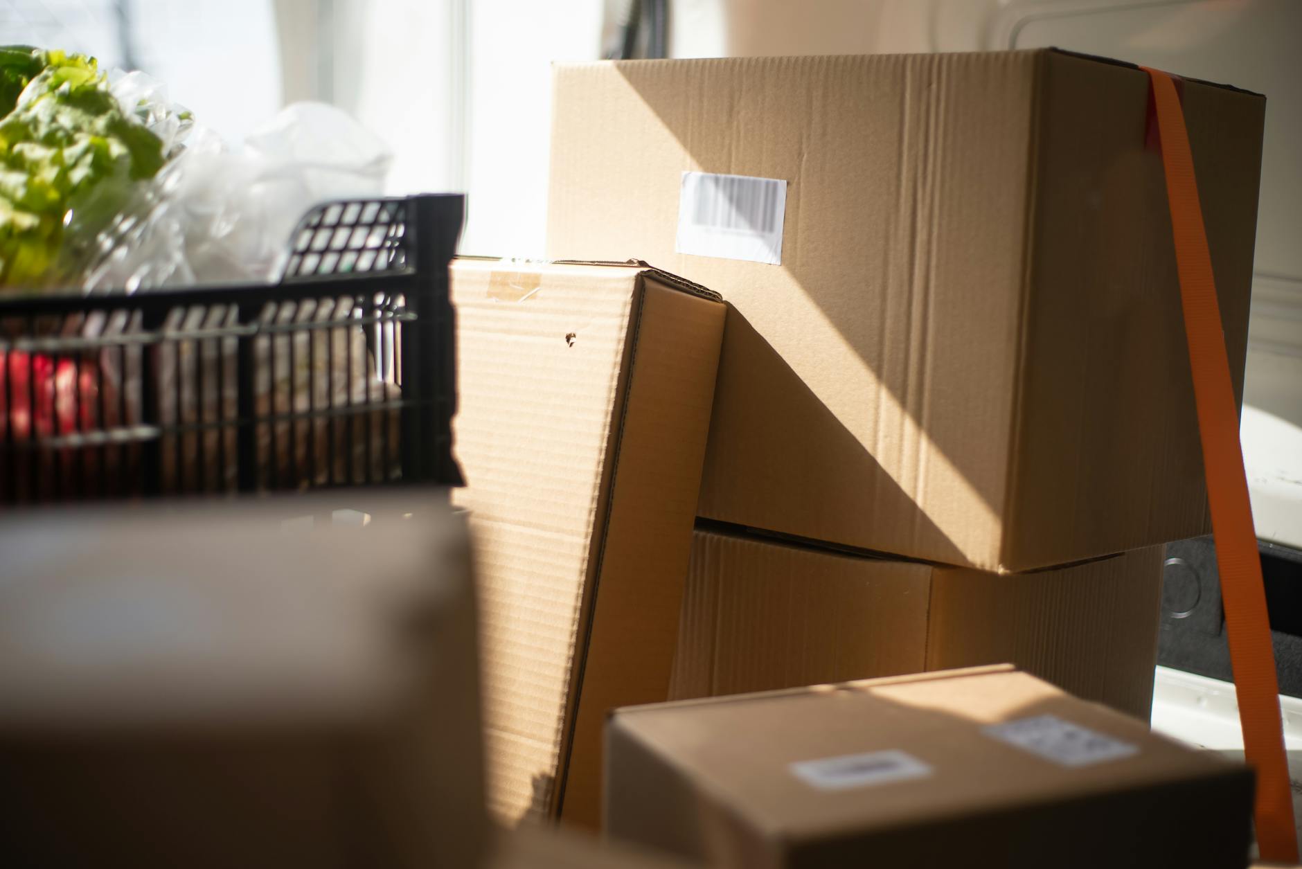 Recycled Crate Sales Trends: Must-Have Finds for Eco-Conscious Consumers