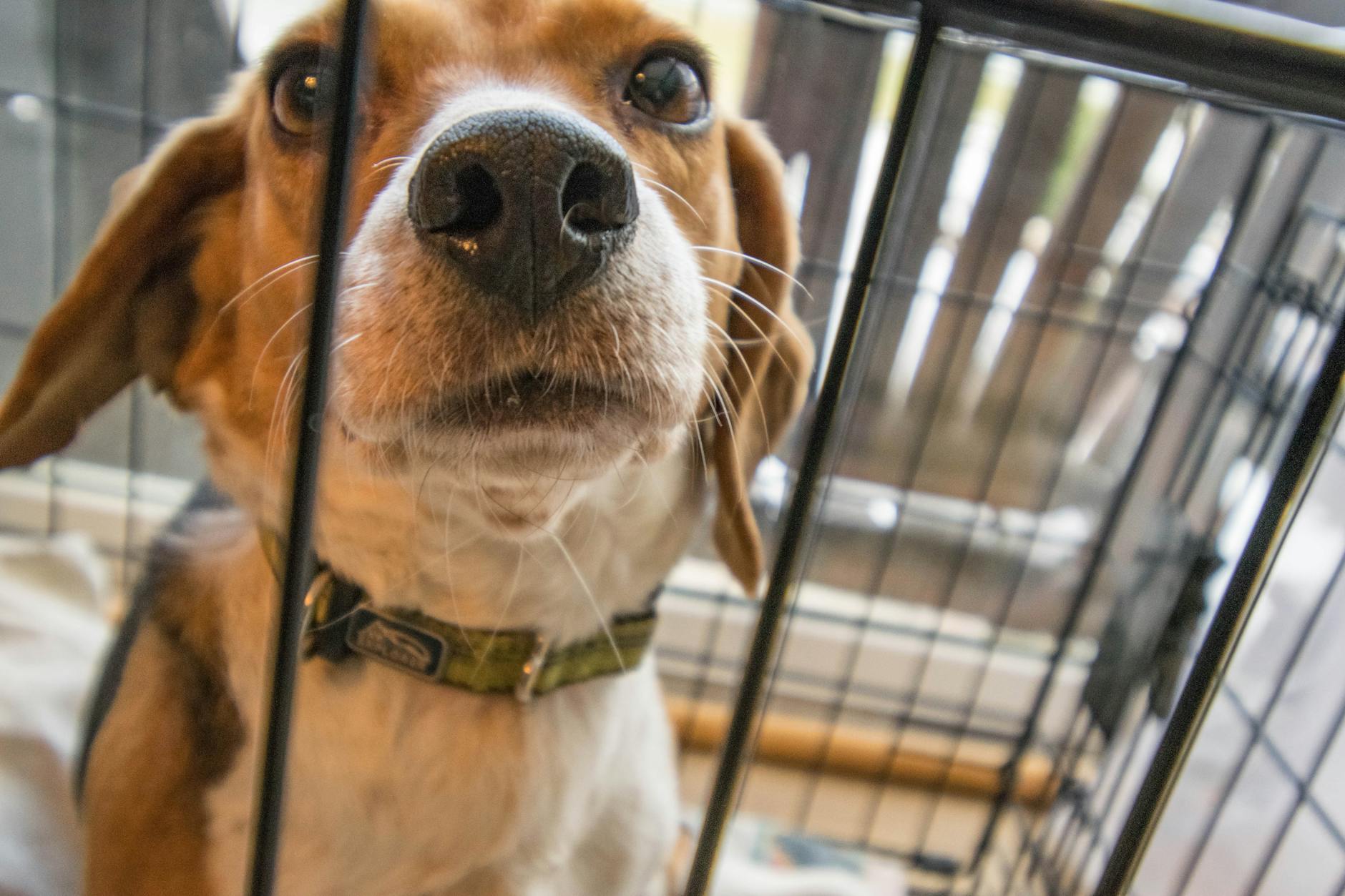 Negotiate the Best Rates for Long-Term Crate Hire: Expert Tips for Savings